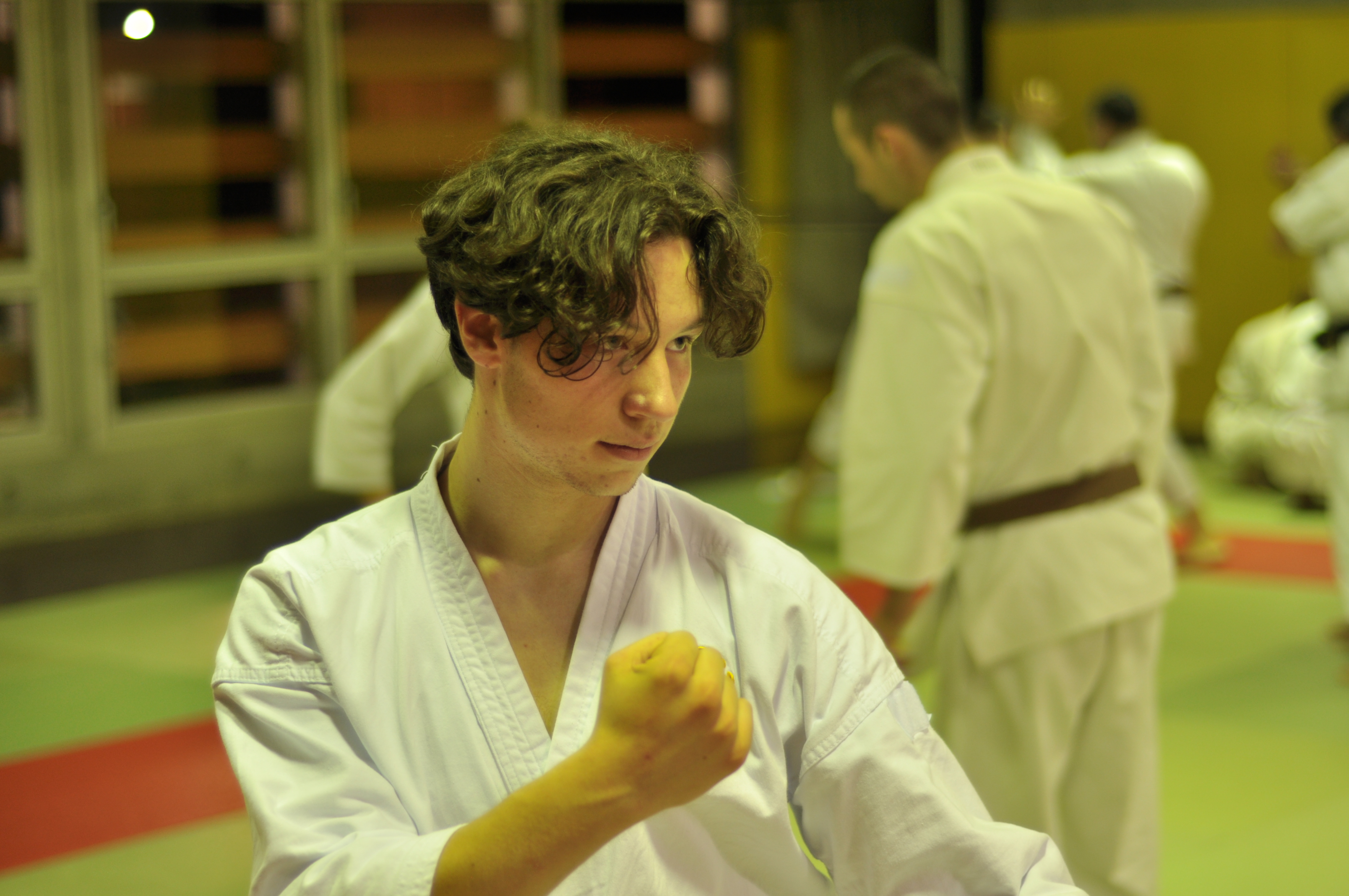 entraînement aux techniques de Shorinji Kempo