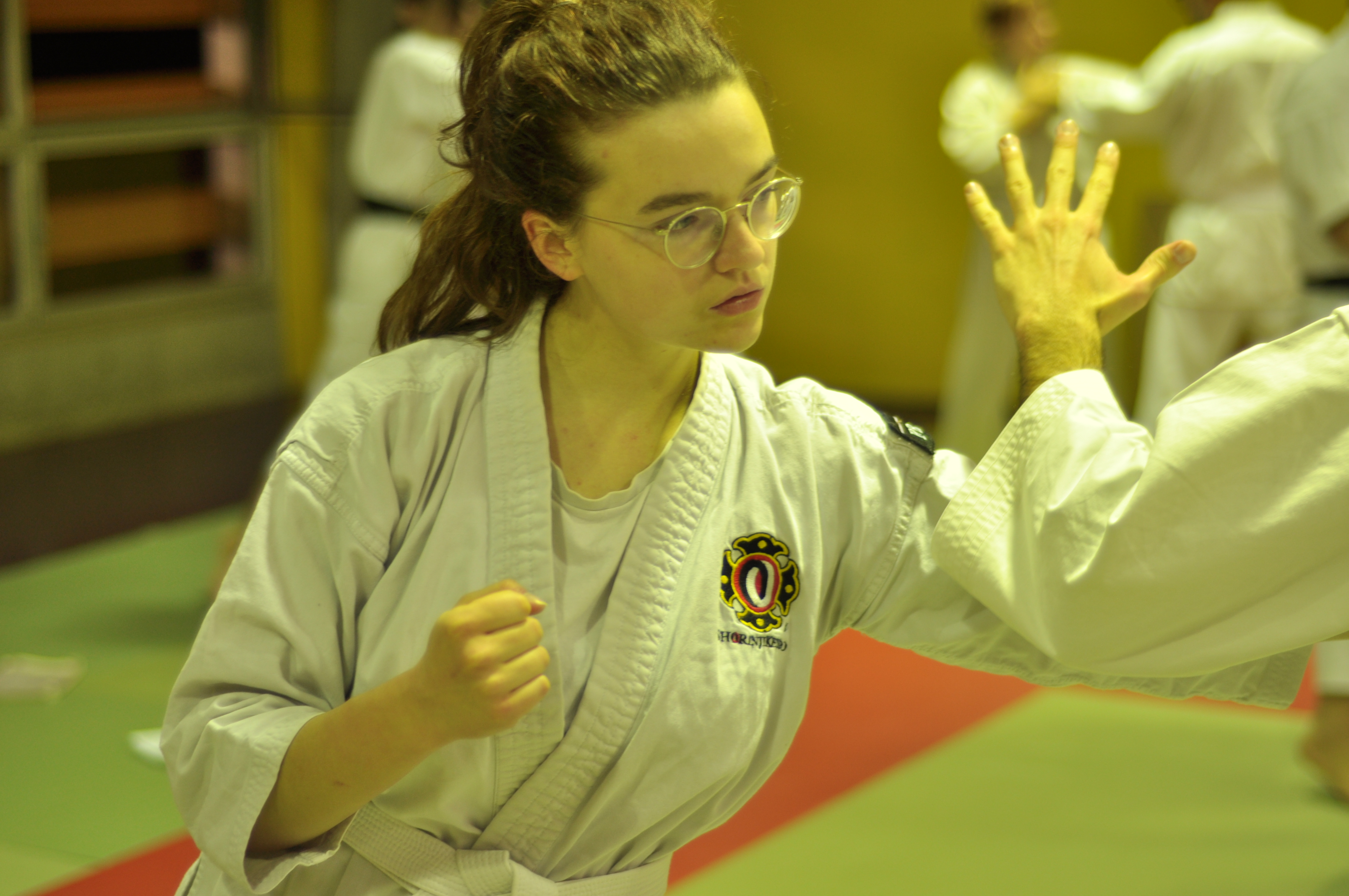 entraînement aux techniques de Shorinji Kempo